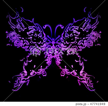 バタフライ 綺麗 蝶 イラストの写真素材