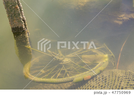 放置自転車 廃棄物 ごみ問題の写真素材