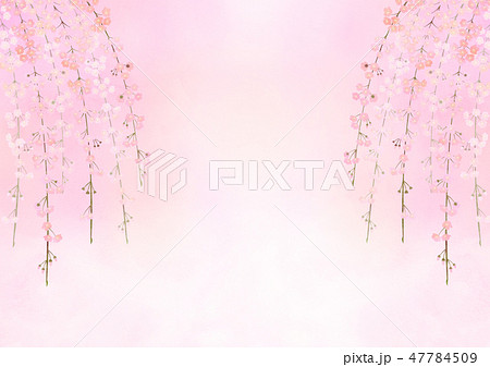しだれ桜のイラスト素材