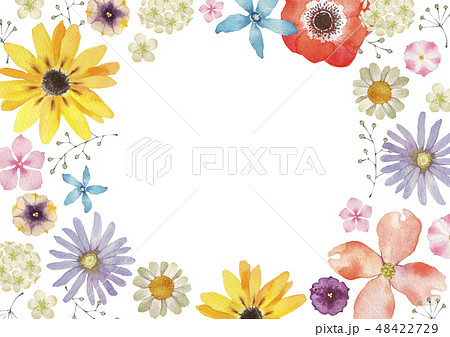 春の花のイラスト素材集 Pixta ピクスタ