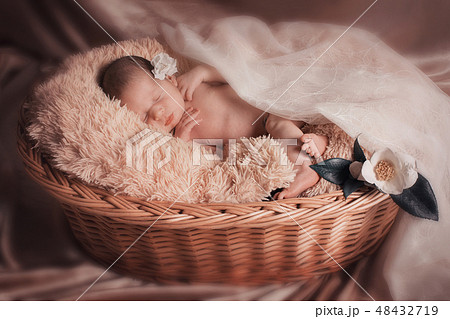 人物 赤ちゃん かご 子供の写真素材