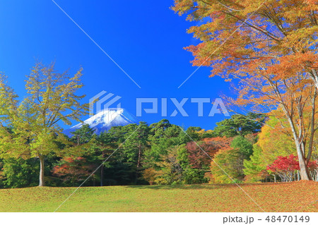 富士パインズパークの写真素材