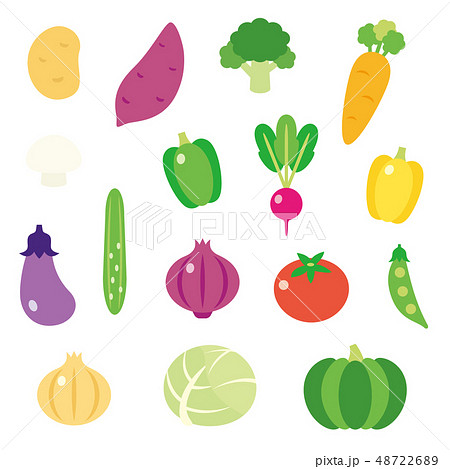 野菜 セット パプリカ イラストのイラスト素材