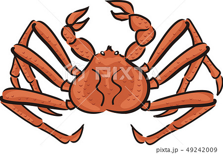 タラバ蟹のイラスト素材