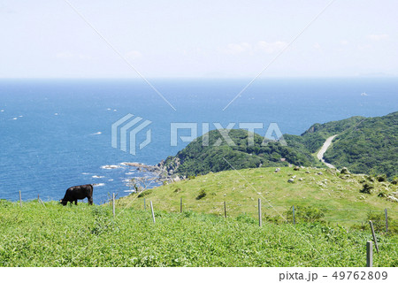 牧草地帯の写真素材