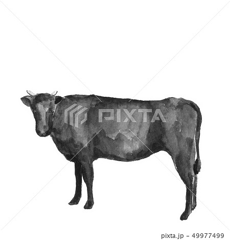 牛 牧場 酪農 水墨画のイラスト素材 Pixta