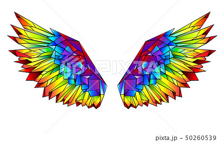 レインボー 虹 羽 羽根のイラスト素材