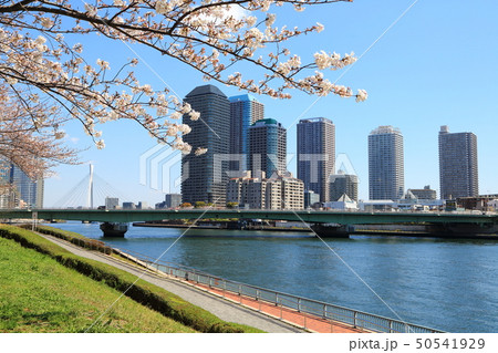 明石町河岸公園の写真素材