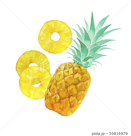 パイナップル 水彩 果物 果実のイラスト素材