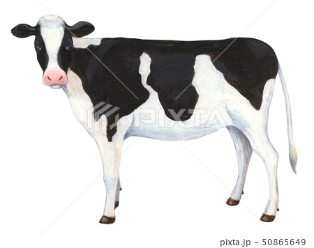 牛のイラストの描き方 - YouTube