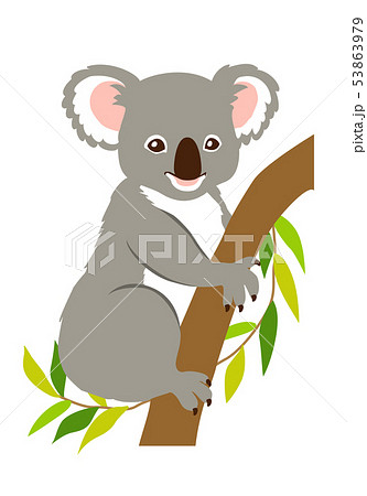 Koalaのイラスト素材 Pixta