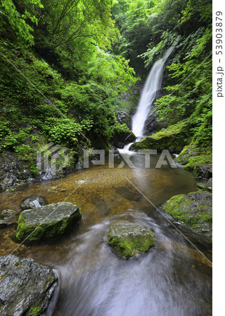 野鹿の滝の写真素材