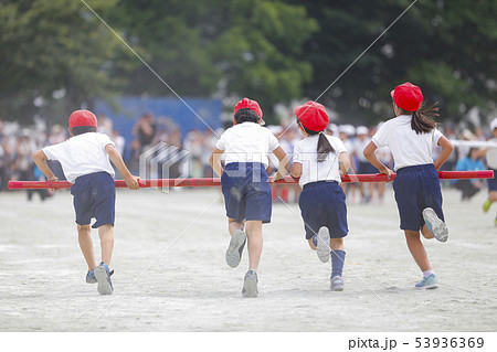 運動会 紅白帽子 小学生 後姿の写真素材