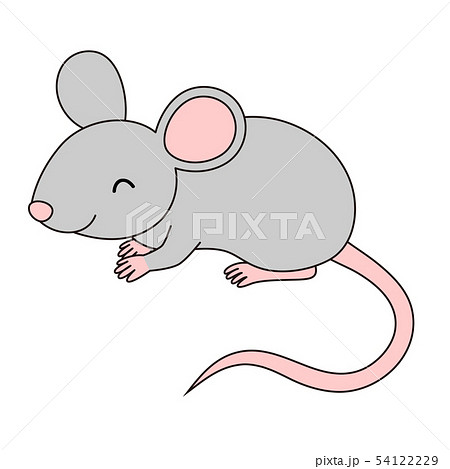 マウス 実験動物 ネズミ Balbのイラスト素材