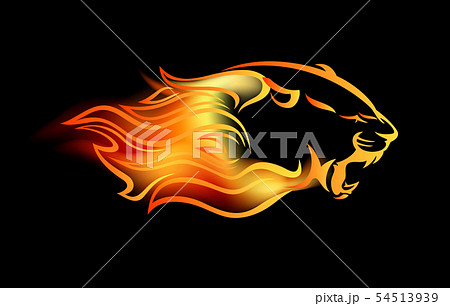 動物 ライオン 火 炎の写真素材
