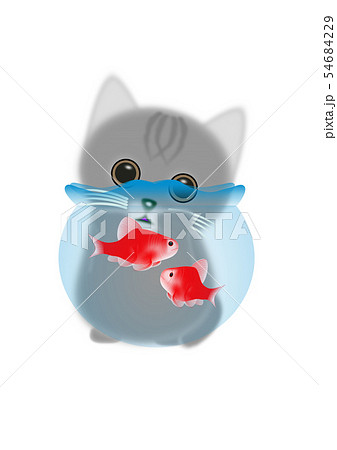 金魚 子猫 金魚鉢 猫のイラスト素材