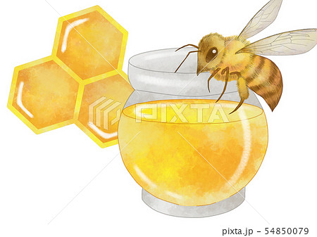 ハチ みつばち 蜜蜂 はちのイラスト素材