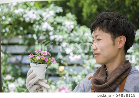 花がら摘みの写真素材