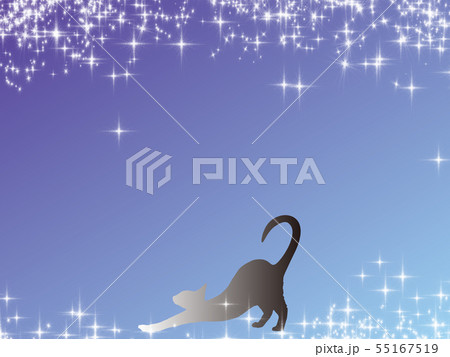 イラスト 猫 ファンタジー 幻想的のイラスト素材
