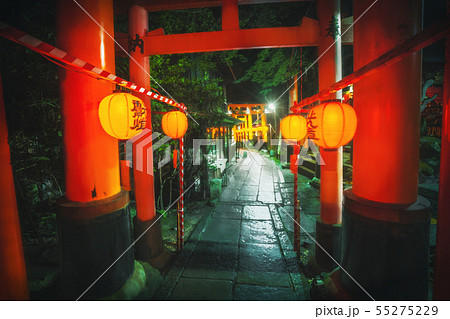 鳥居 夏 神社 参道のイラスト素材