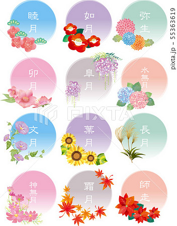 桜 藤 花 植物のイラスト素材