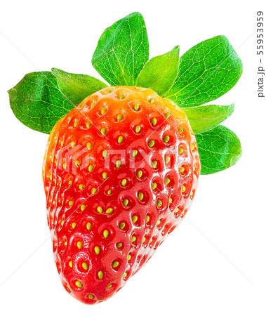 いちご 種 ズーム たねの写真素材 - PIXTA