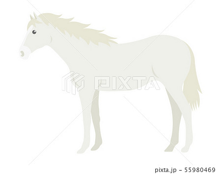 動物 馬 白馬 イラストのイラスト素材
