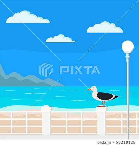 갈매기 벡터들 - Pixta