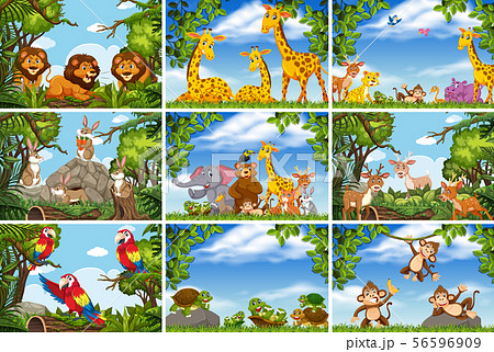ジャングル 動物のイラスト素材