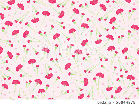 カーネーション 花柄 花 壁紙のイラスト素材 Pixta