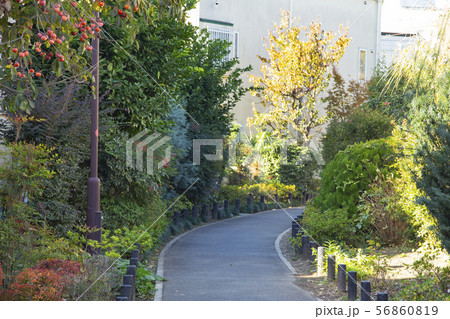 世田谷城阯公園の写真素材