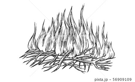 キャンプファイア キャンプファイヤー モノクロ ベクトルのイラスト素材