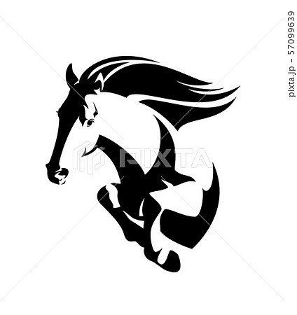 馬 サラブレッド モノクロ 白黒の写真素材