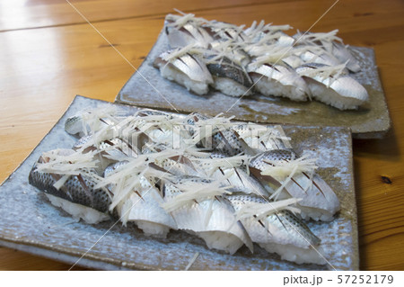 コノシロ コハダ 出世魚 寿司の写真素材