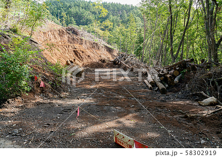 森林破壊 自然破壊 倒木 地球の写真素材