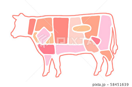 牛肉 肉 牛 部位のイラスト素材
