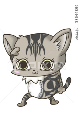 アメショーのイラスト素材