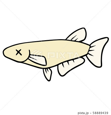 めだか メダカ 目高 魚のイラスト素材