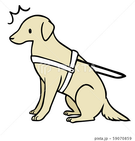 ラブラドールレトリバー 盲導犬 介助犬 犬のイラスト素材