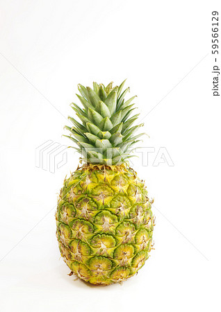 パイナップル 夏 沖縄 海の写真素材