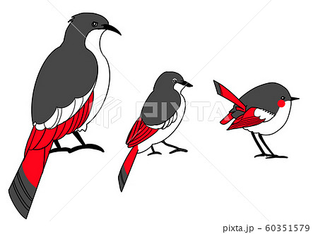 鳥 野鳥 ステップアップ 成長のイラスト素材