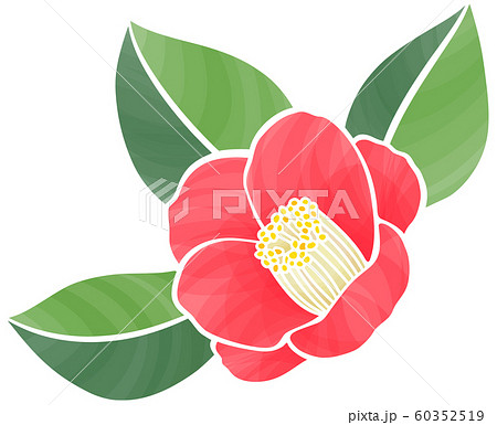 椿 花 植物 貼り絵のイラスト素材
