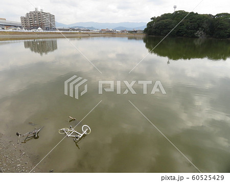 野多目大池の写真素材