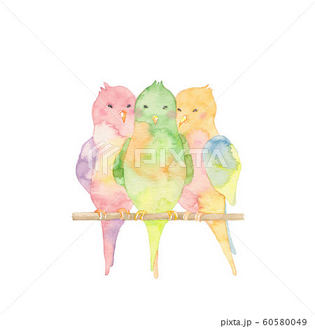 パステルカラーの可愛い小鳥たちのイラスト素材