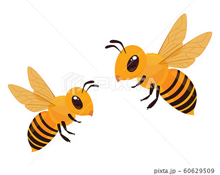 Pixta 蜂 スズメバチ ミツバチ のイラスト素材一覧 選べる豊富な素材バリエーション
