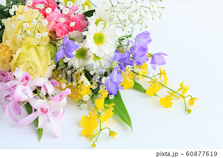 油絵 ＳＭ 「 スプレーマム」 IMG_9628.jpg?v=1680150768&