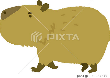 カピバラ カワイイのイラスト素材