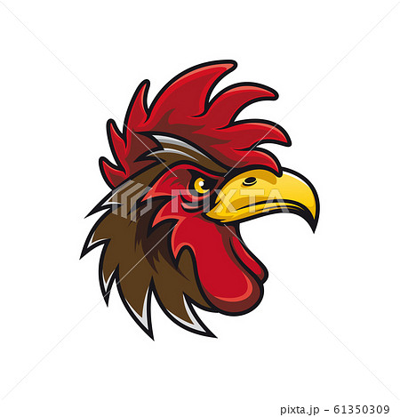 トサカのイラスト素材