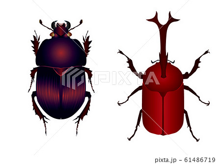 かぶとむし 昆虫 イラスト かわいいi