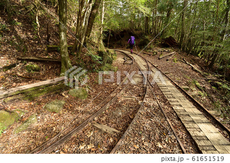 線路 トロッコ道 屋久島 世界遺産の写真素材